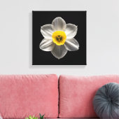 Flowers | White Daffodil Flower Leinwanddruck (Insitu (Wohnzimmer))