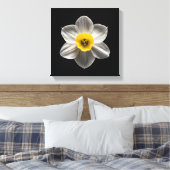 Flowers | White Daffodil Flower Leinwanddruck (Insitu (Schlafzimmer))