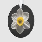 Flowers | White Daffodil Flower Ornament (Vorderseite)