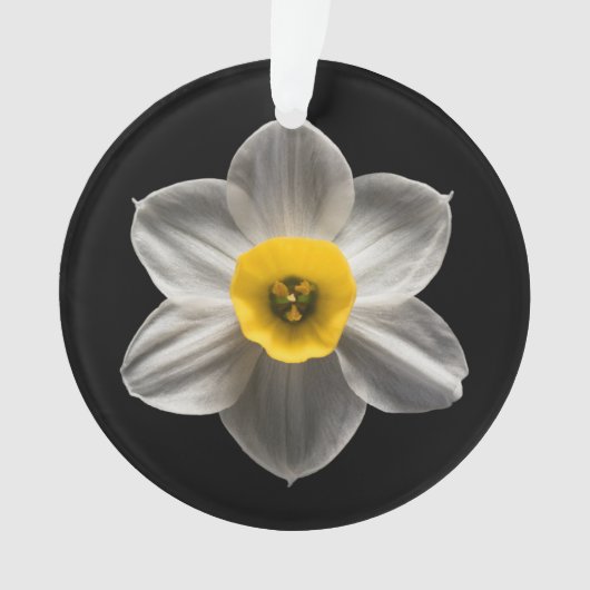 Flowers | White Daffodil Flower Ornament (Vorderseite)