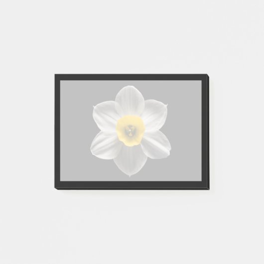 Flowers | White Daffodil Flower Post-it Klebezettel (Vorderseite)
