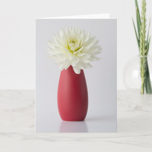 Flowers | White Dahlia in Red Vase Karte (Vorderseite)