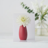 Flowers | White Dahlia in Red Vase Postkarte (Stehend Vorderseite)