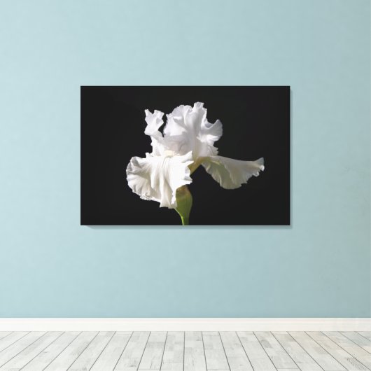 Flowers | White Iris Leinwanddruck (Insitu (Holzboden))