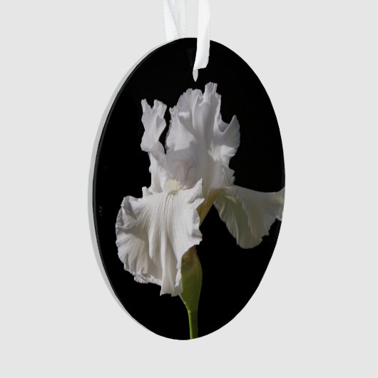 Flowers | White Iris Ornament (Vorderseite)