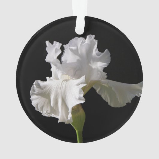 Flowers | White Iris Ornament (Rückseite)