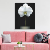 Flowers | White Orchid Flower Leinwanddruck (Insitu (Wohnzimmer))