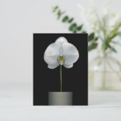 Flowers | White Orchid Flower Postkarte (Stehend Vorderseite)