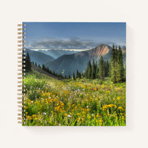 Flowers Wildflowers Silverton Colorado Notizblock