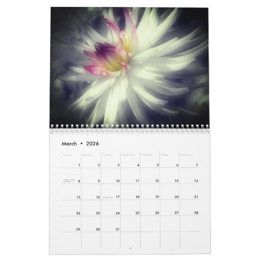 Flowers With A Touch Of Color Kalender (Mär 2026)