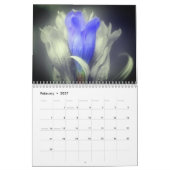 Flowers With A Touch Of Color Kalender (Feb 2027)