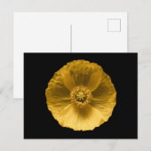 Flowers | Yellow Poppy Postkarte (Vorne/Hinten)