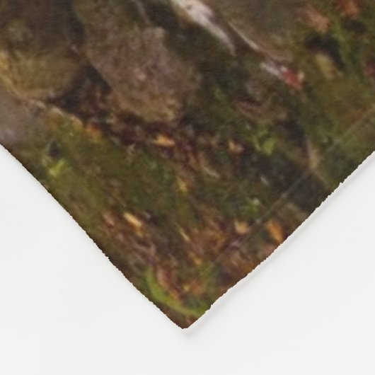 Flowstream Appalachian Trail | Vermont Fleecedecke (Ecke)