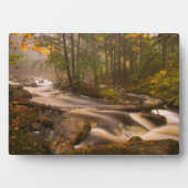 Flowstream Appalachian Trail | Vermont Fotoplatte (Vorderseite)