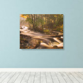 Flowstream Appalachian Trail | Vermont Leinwanddruck (Insitu (Holzboden))