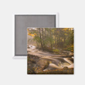 Flowstream Appalachian Trail | Vermont Magnet (Vorderseite/Rückseite)