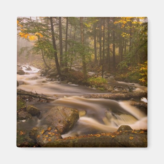 Flowstream Appalachian Trail | Vermont Magnet (Vorne)