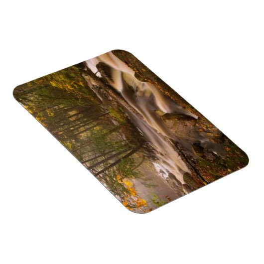 Flowstream Appalachian Trail | Vermont Magnet (Rechte Seite)