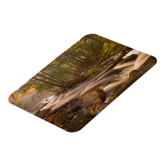 Flowstream Appalachian Trail | Vermont Magnet (Linke Seite)