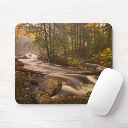 Flowstream Appalachian Trail | Vermont Mousepad (Mit Mouse)