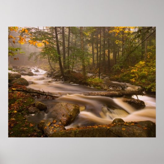 Flowstream Appalachian Trail | Vermont Poster (Vorne)