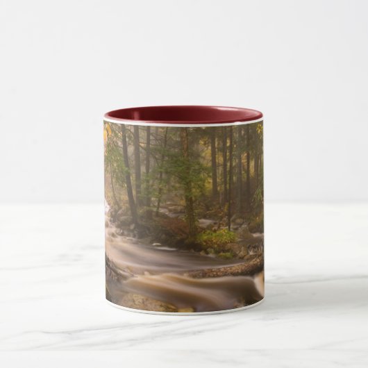 Flowstream Appalachian Trail | Vermont Tasse (Zentrum)