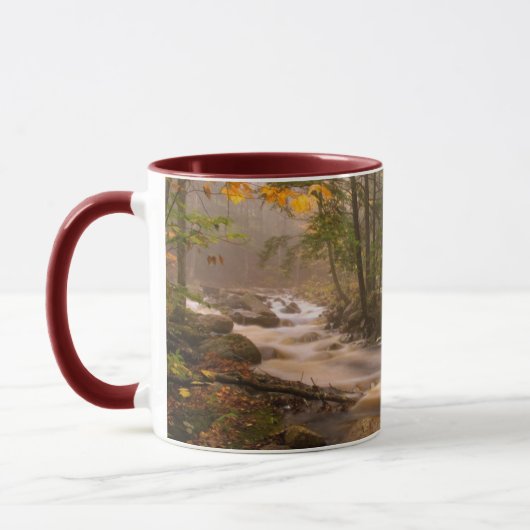 Flowstream Appalachian Trail | Vermont Tasse (Links)