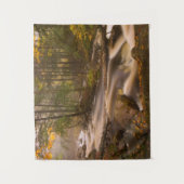 Flowstream Appalachian Trail | Vermont Wandteppich (Vorderseite)