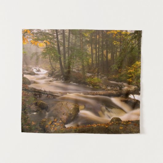 Flowstream Appalachian Trail | Vermont Wandteppich (Vorderseite (Horizontal))