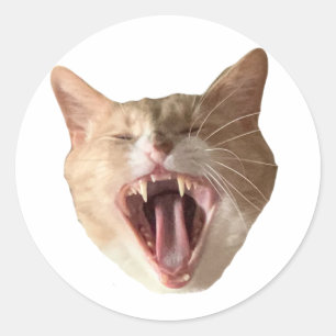 Floyd Aufkleber - Mit Mund offen!