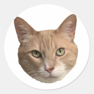 Floyd Aufkleber! Runder Aufkleber