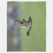 FLÜCHENABSCHWUNG FLEECEDECKE (Vorderseite)