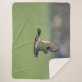 FLÜCHENABSCHWUNG SHERPADECKE (Vorderseite)