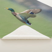 FLÜCHENABSCHWUNG SHERPADECKE (3/4)