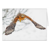 Flucht (Vorderseite (Horizontal))