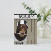 Flucht aus Allycatraz Postkarte (Stehend Vorderseite)