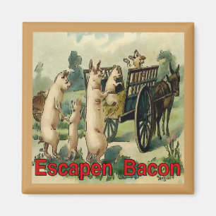 Flucht aus Bacon, Hogs Magnet
