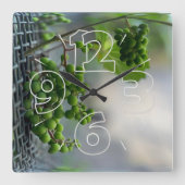 Flucht aus dem Zaun Quadratische Wanduhr (Vorderseite)