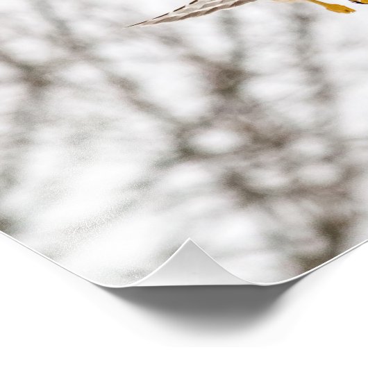 Flucht Fotodruck (Ecke)