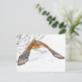 Flucht Postkarte (Stehend Vorderseite)