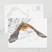 Flucht Postkarte (Vorne/Hinten)