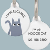 Flucht vor Indoor Cat Blue Gray