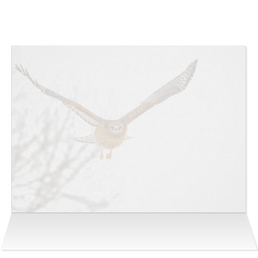 Fluchtgefahr (Innenansicht Horizontal (Oben))