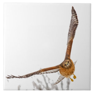 Fluchtgefahr Fliese