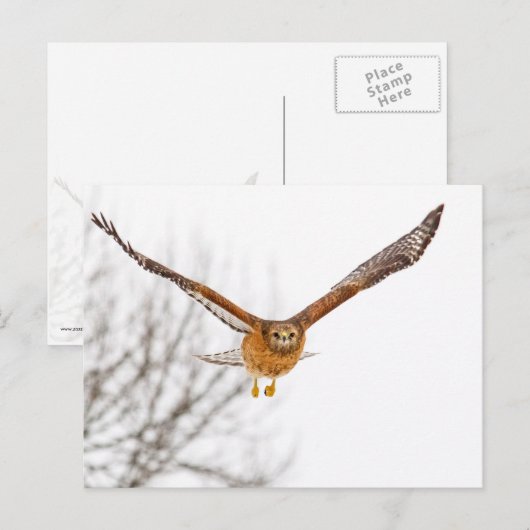 Fluchtgefahr Postkarte (Vorne/Hinten)