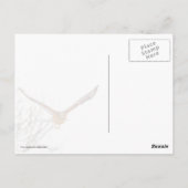 Fluchtgefahr Postkarte (Rückseite)