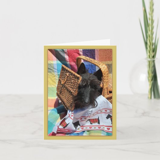 Flüchtige Blick-a-Boo (Vorderseite)