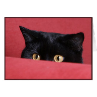 Flüchtige Blick-a-Boo