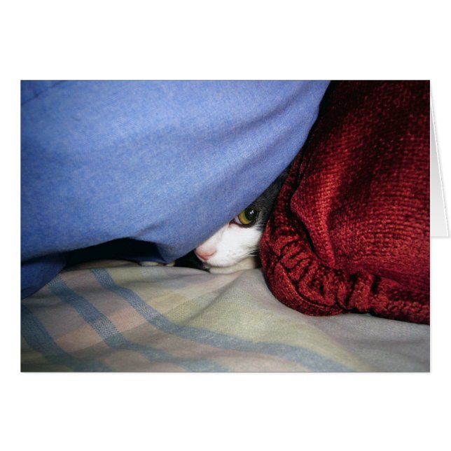 Flüchtige Blick a Boo (Vorderseite (Horizontal))