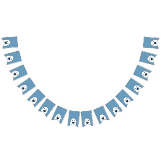 Flüchtige Blick-a-boo-Banner zum Verstecken von Po Wimpelkette